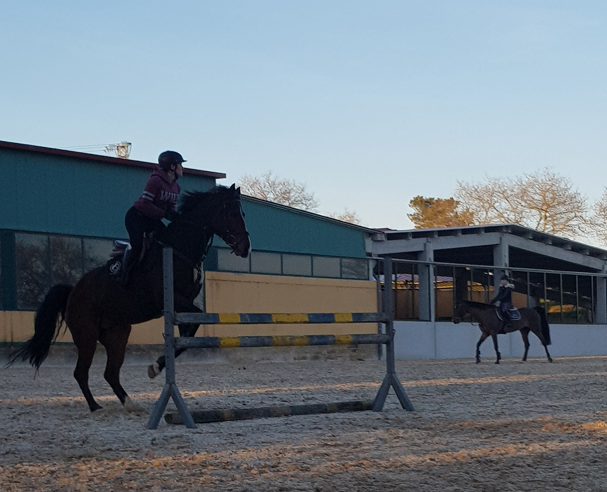 Escuela de equitación