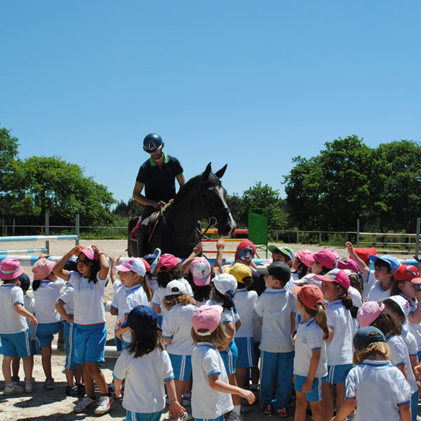 Excursin escolar