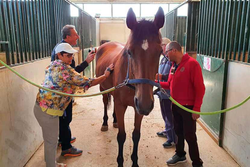 Terapia con caballos