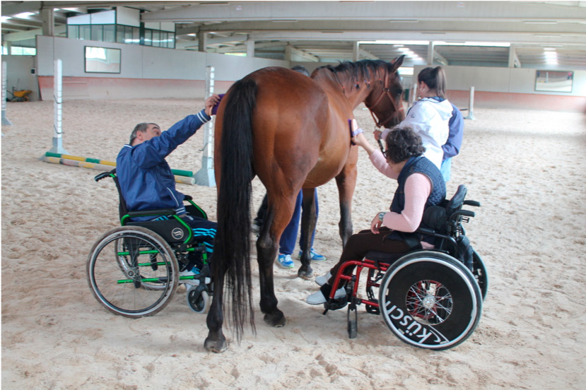 Terapia con caballos