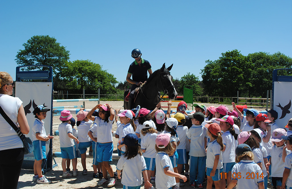 Visitas escolares